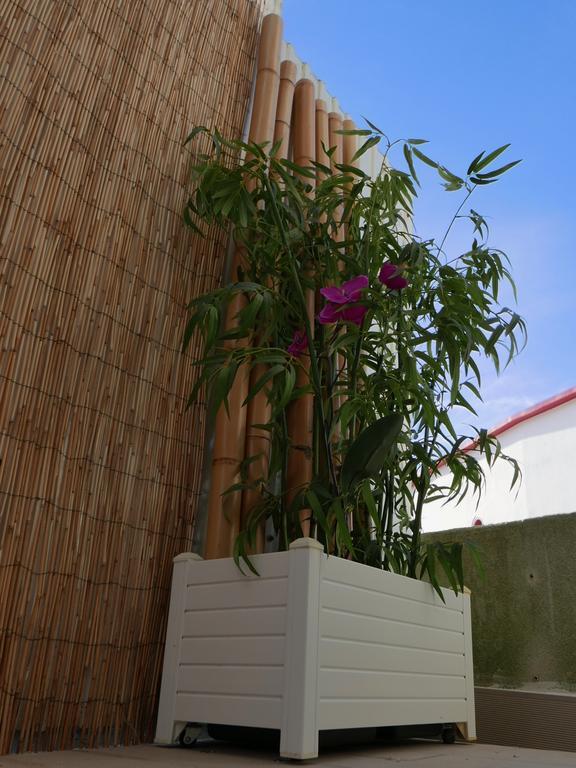 Casa do Cabeta Nazaré Exterior foto